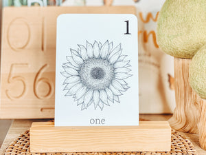 BLACK AND WHITE NATURE NUMBER CARDS