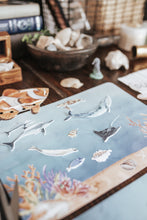 Load image into Gallery viewer, OCEANOGRAPHY MORNING BASKET