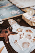 Load image into Gallery viewer, OCEANOGRAPHY MORNING BASKET