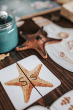 Load image into Gallery viewer, OCEANOGRAPHY MORNING BASKET