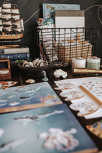 Load image into Gallery viewer, OCEANOGRAPHY MORNING BASKET