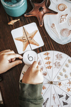 Load image into Gallery viewer, OCEANOGRAPHY MORNING BASKET