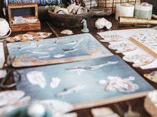 Load image into Gallery viewer, OCEANOGRAPHY MORNING BASKET