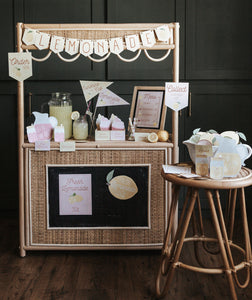 LEMONADE STAND DRAMATIC PLAY SET