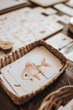 Load image into Gallery viewer, POND LIFE MORNING BASKET
