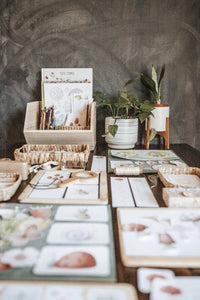 NATURE SCIENCE MORNING BASKET