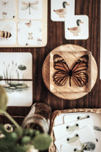 Load image into Gallery viewer, POND LIFE MORNING BASKET
