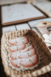 AGRICULTURE MORNING BASKET