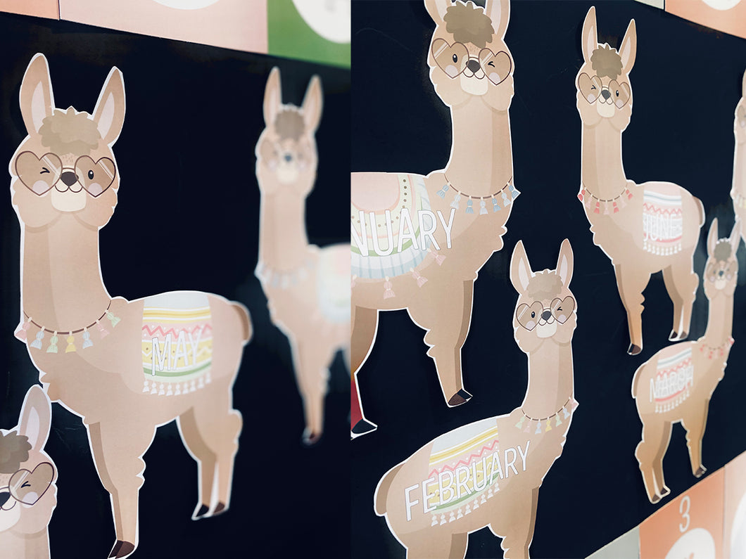 DRAMA LLAMA BIRTHDAY DISPLAY