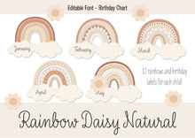 Load image into Gallery viewer, RAINBOW DAISY NATURAL BIRTHDAY DISPLAY
