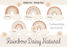 Load image into Gallery viewer, RAINBOW DAISY NATURAL BIRTHDAY DISPLAY
