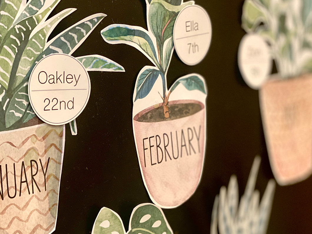 BOHO BOTANY BIRTHDAY DISPLAY