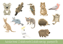 Load image into Gallery viewer, AUSTRALIAN BUSH BIRTHDAY DISPLAY
