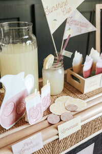 LEMONADE STAND DRAMATIC PLAY SET