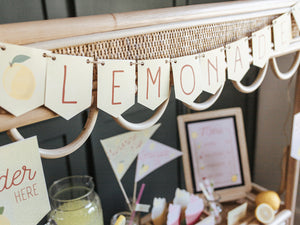LEMONADE STAND DRAMATIC PLAY SET