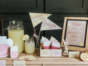 LEMONADE STAND DRAMATIC PLAY SET