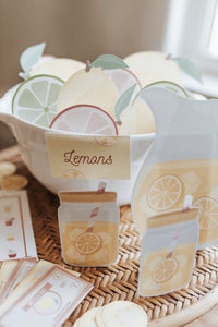 LEMONADE STAND DRAMATIC PLAY SET