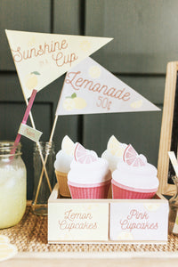 LEMONADE STAND DRAMATIC PLAY SET
