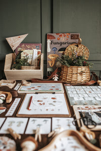 MUSHROOM MORNING BASKET