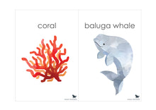 Load image into Gallery viewer, OCEAN ANIMAL FLASH CARDS
