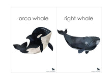 Load image into Gallery viewer, OCEAN ANIMAL FLASH CARDS
