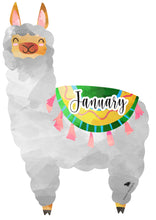 Load image into Gallery viewer, LLAMA BIRTHDAY DISPLAY
