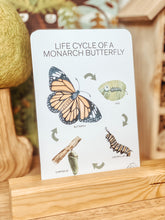 Load image into Gallery viewer, LIFECYCLE OF A MONARCH BUTTERFLY CARDS
