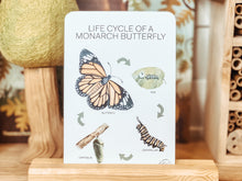 Load image into Gallery viewer, LIFECYCLE OF A MONARCH BUTTERFLY CARDS
