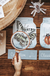 ENTOMOLOGY LAB DRAMATIC PLAY SET