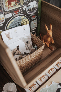 AUSTRALIAN ANIMAL MORNING BASKET