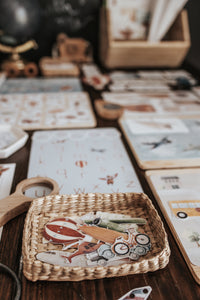 AVIATION BODY MORNING BASKET