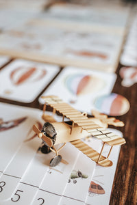 AVIATION BODY MORNING BASKET