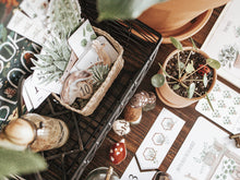 Load image into Gallery viewer, BOTANY MORNING BASKET
