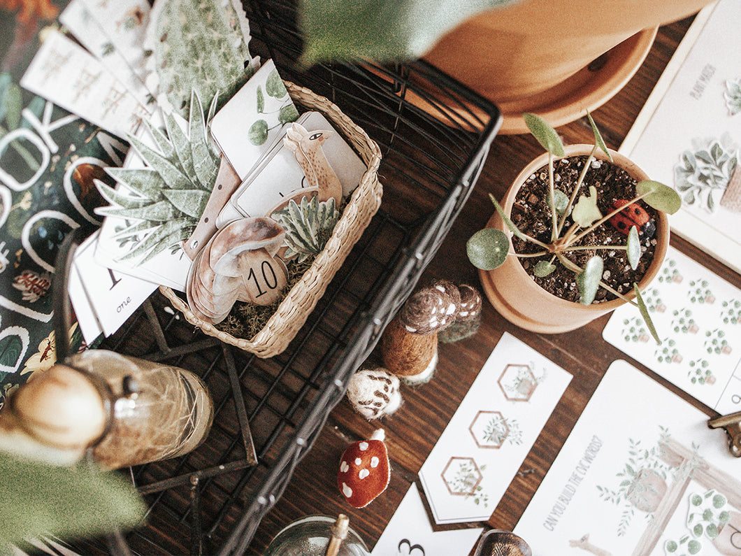 BOTANY MORNING BASKET