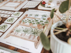 BOTANY MORNING BASKET