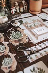 BOTANY MORNING BASKET