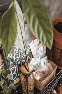 BOTANY MORNING BASKET
