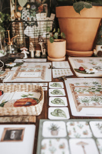 BOTANY MORNING BASKET