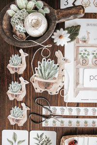 BOTANY MORNING BASKET