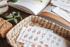 DISCOVER THE GARDEN MORNING BASKET