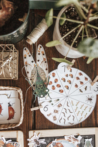 BUGS/ENTOMOLOGY MORNING BASKET