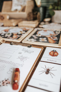 BUGS/ENTOMOLOGY MORNING BASKET