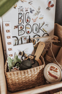 BUGS/ENTOMOLOGY MORNING BASKET