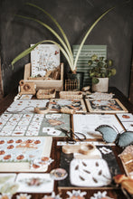 Load image into Gallery viewer, BUGS/ENTOMOLOGY MORNING BASKET
