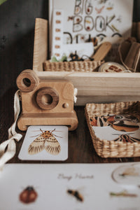 BUGS/ENTOMOLOGY MORNING BASKET