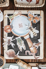 Load image into Gallery viewer, BUGS/ENTOMOLOGY MORNING BASKET

