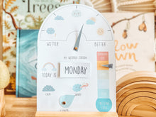 Load image into Gallery viewer, WEATHER STATION
