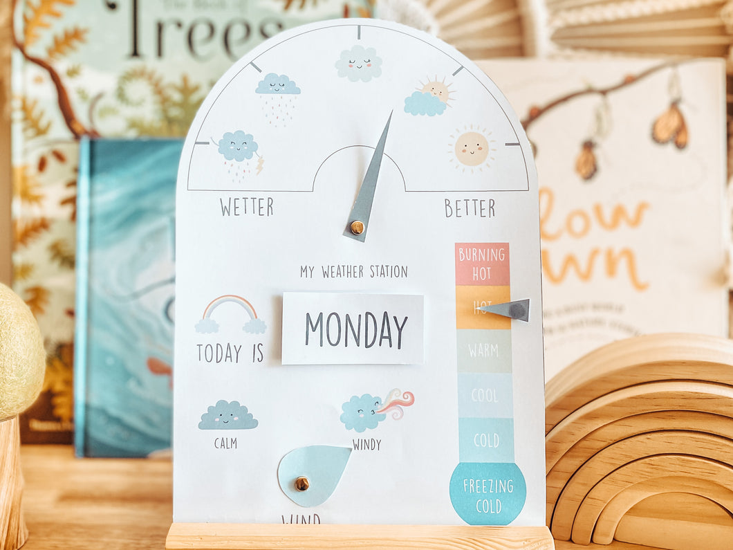 WEATHER STATION