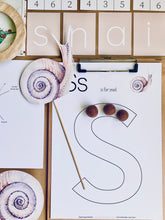 Load image into Gallery viewer, SNAILS STUDY UNIT
