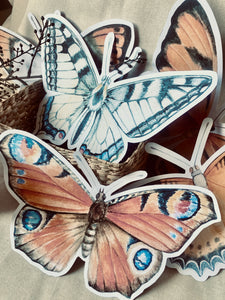 LARGE BUTTERFLY CUT OUTS